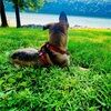 addy_rivenbark